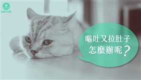 ▲圖／翻攝自PetTalk官網