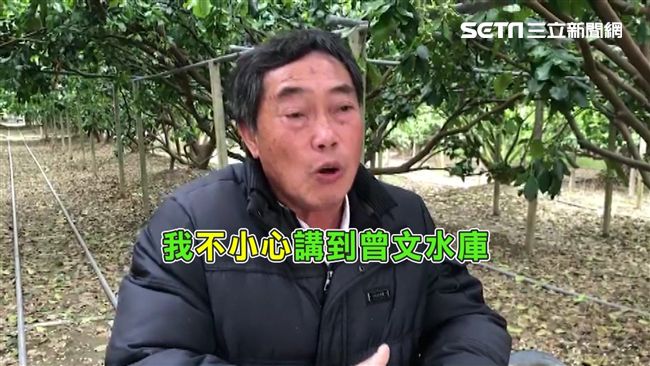 柚農認口誤　網友：早賠光麻豆柚名聲