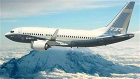 波音737-800,飛安,發動機故障,俄羅斯　圖／翻攝自推特