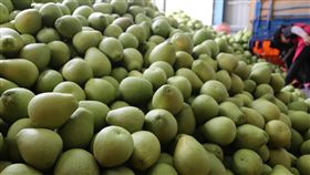 瑞穗文旦柚盛產　花縣府採購贈弱勢和國軍（2）花蓮文旦柚今年盛產，最大宗的瑞穗鄉仍有約百萬台斤文旦柚尚未賣出，為解決農民困境，花蓮縣府採購2500箱，22日分送給縣內弱勢團體及國軍單位分享。中央社記者李先鳳攝　107年9月22日