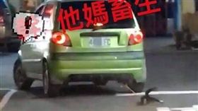 屏東,龍泉,虐貓,拖行,肉搜（圖／翻攝自爆廢公社臉書）