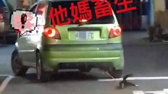 虐貓綁車後拖行　網友怒言肉搜惡人