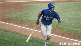 WBC,中華隊,南韓,李容圭,韓國隊 圖／記者林敬旻攝