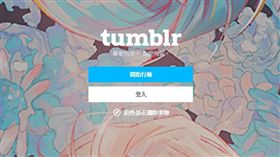 Tumblr平台（圖／擷取自網路）