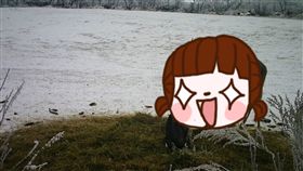 哈士奇,鹿,監視器,失蹤,神奇,朋友,動物,玩耍,加拿大,睡覺,寵物　圖／翻攝自臉書