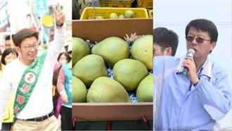 仿效賣菜郎？文旦之亂毀謝龍介立委夢