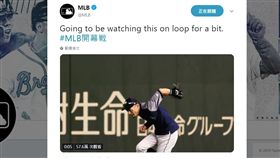 圖／翻攝自推特