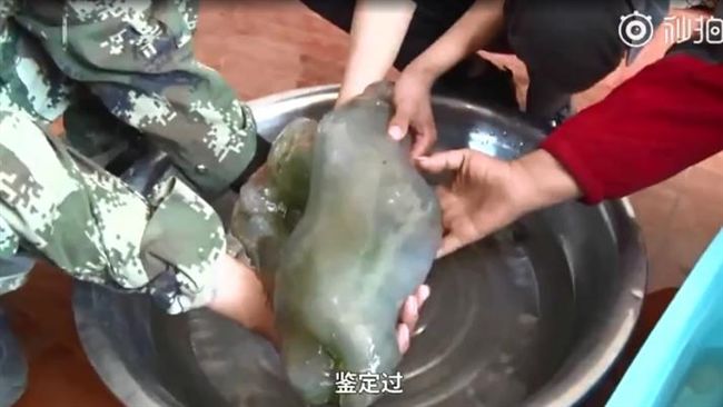 男撿到詭異「肉團」！竟是長生不老藥
