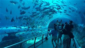 從拍攝開始即引發熱潮的韓國知名天團EXO實境節目《EXO的爬梯子世界旅行第二季》來到臺灣的高雄及墾丁，身為臺灣旅遊指標的國立海洋生物博物館也列入節目療癒系重要景點。EXO在海生館與魚兒近距離接觸，對於偌大的場館讚嘆不已，同時和最萌白鯨打招呼，療癒平時繁忙的演藝生活！