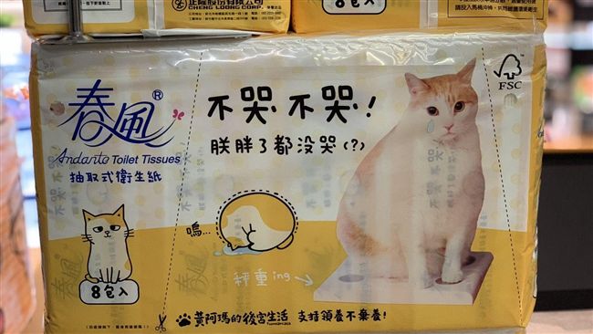 超市祭衛生紙買一送一！這款貓奴必搶