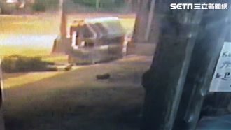 翁過馬路遭重機撞飛　一秒消失監視器