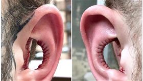 耳朵,身體改造,耳廓,聽力,耳洞（圖／翻攝自臉書）
