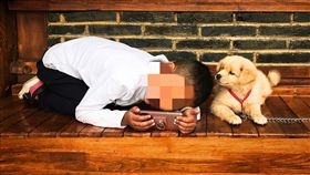 中國江蘇,弒母,玩狗,刑事責任　（圖／取自Pixabay）