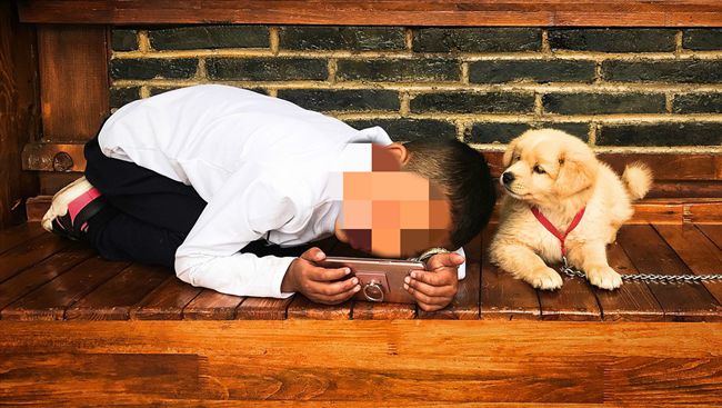 不爽玩狗被痛罵！13歲童活活砍死媽