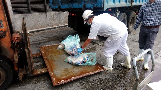 關渡公園漂流死禽　北市：遭蓄意丟棄