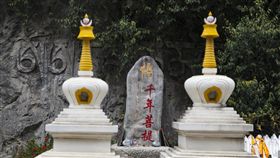 中國大陸,雲南,千年菩提,佛手（圖／翻攝新浪微博）