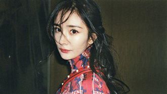 楊冪離婚經紀公司怒？工作室爆被搬空