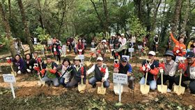 尋找當年種樹家庭　重返花蓮鯉魚潭林地護樹　中央社