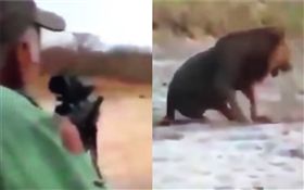 獵人開槍射殺獅子（圖／翻攝自YouTube）