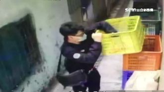 假綁架真騙錢！鴛鴦詐欺犯落網