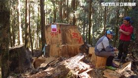 國際森林日,林務局,山老鼠
圖／林務局