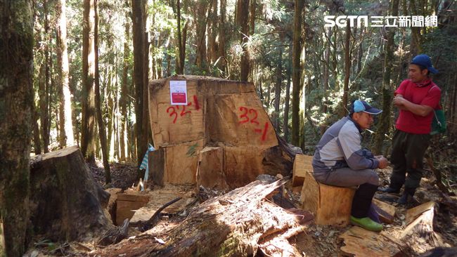 守護山林！揭密山老鼠樣態、犯案熱點