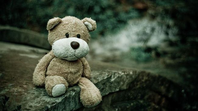 美自閉症男童泰迪熊不見　暖警伸援手