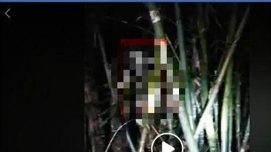 外景節目直播　竹林中驚見「好兄弟」