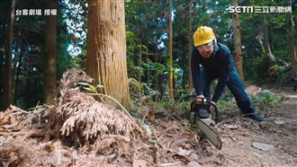 你不知道的台灣林業　砍樹竟更環保？
