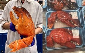 美國,Costco,好市多,巨型龍蝦螯（圖／翻攝自IG）