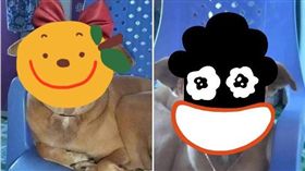 ▲（圖／翻攝自泰國網臉書、微博）