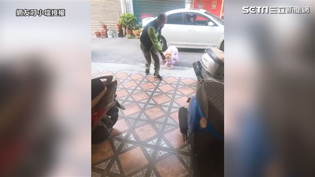 鬆獅想上車　阿公遞零食「三請」回家