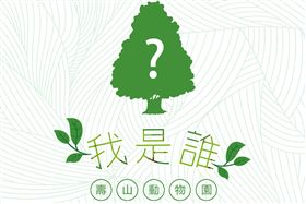 金城武,韓國瑜,造神,動物園,種樹,北韓