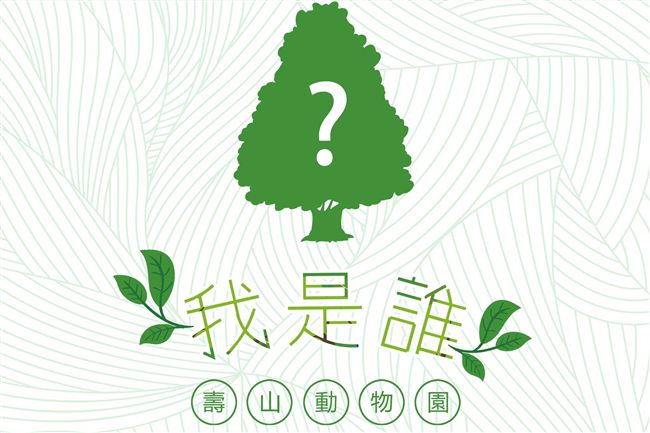 仿金城武 韓國瑜「這招」滲透動物園