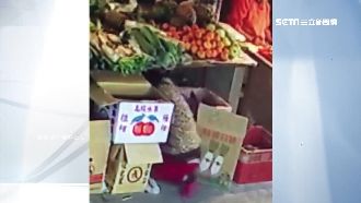 婦假買菜真行竊　移紙箱鑽洞偷攤販錢