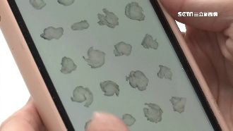 這款貼圖賣超好　「衛生紙團」傳訊息