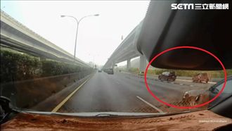 2車同切1車道！女驚慌急切失控撞車