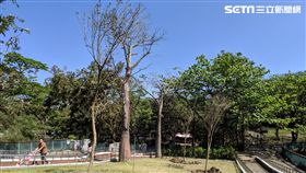 簡煥宗,韓國瑜,造神,動物園,種樹,北韓