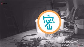 （圖／翻攝自YouTube）英國,布里斯托,整理,小精靈,老鼠