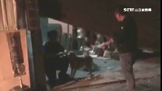 養狗咬人勸不聽　4天後飼主書局燒光