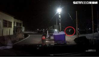 有影／男漁塭躲警　不專業跳水法曝光