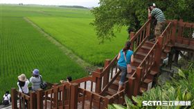 ▲春遊（圖／記者唐家興攝影）
