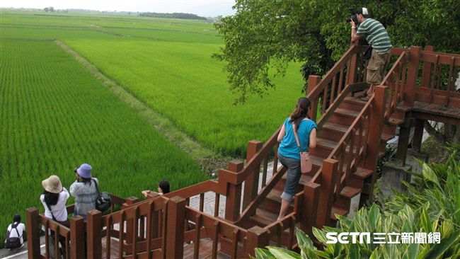 春遊自由行！將開放業者登記旅客身分