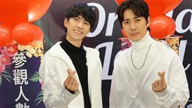 「2019臺灣國際蘭展」