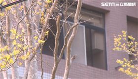 彰化某大學男大生偷拍女廁、彰化警分局八卦山派出所副所長呂皆慶／記者許書維攝