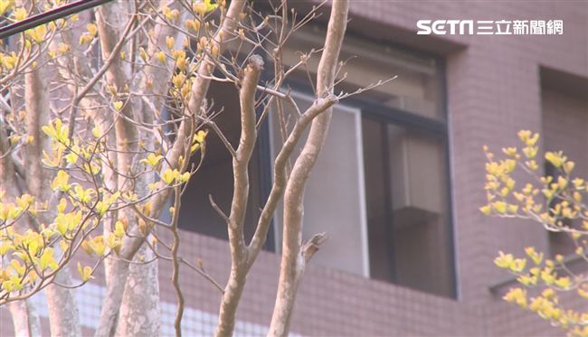 男大生變裝潛女舍偷拍　遭制伏送警局