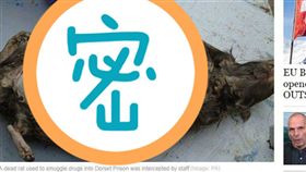 英國,監獄,死老鼠,毒品　圖／翻攝自express.co.uk