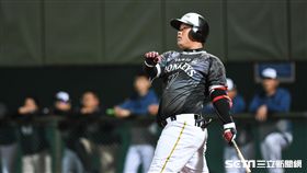 ▲Lamigo桃猿林泓育。 （圖／記者林敬旻攝）