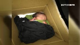 Ｌ紙箱棄女嬰0600(DL)