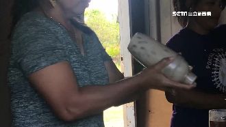 馬紹爾人哈台味　去冰半糖珍奶超夯！